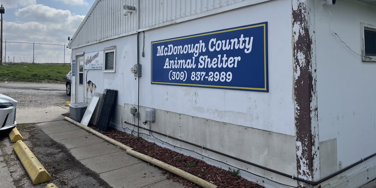 Wgem Building Humane Society of McDonough County finalizing space for new building