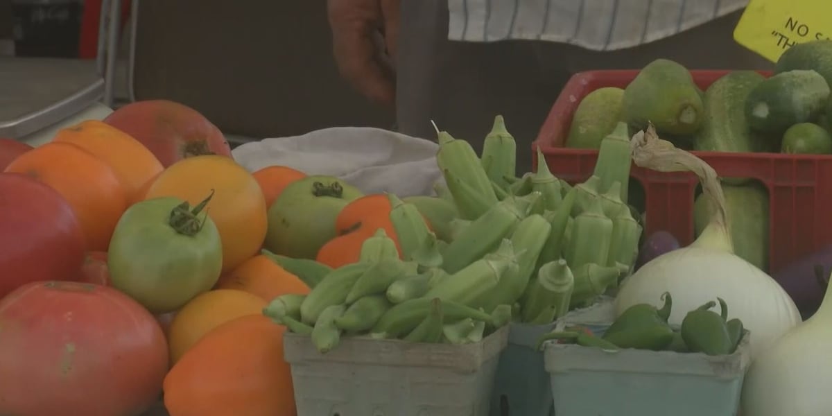 Quincy Town Center Farmer’s Market gives back to its customers Quincy Town Center Farmer’s Market gives back to its customers