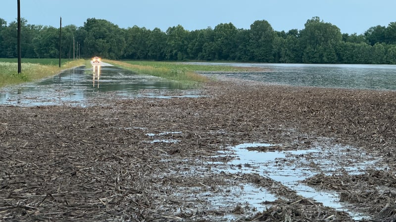 Man safe following water rescue near Palmyra