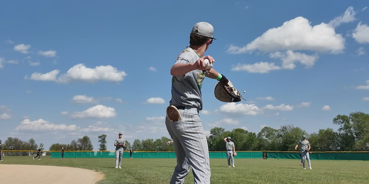 The Year of the Hornet: Baseball Edition