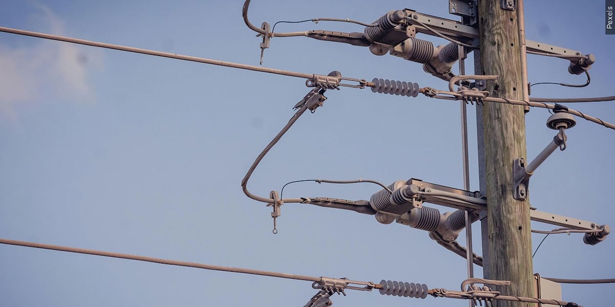 Shelbina residents urged to conserve energy