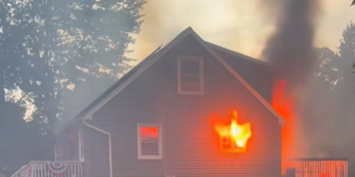 Dog accused of starting house fire that killed family pets, destroyed all belongings, officials say