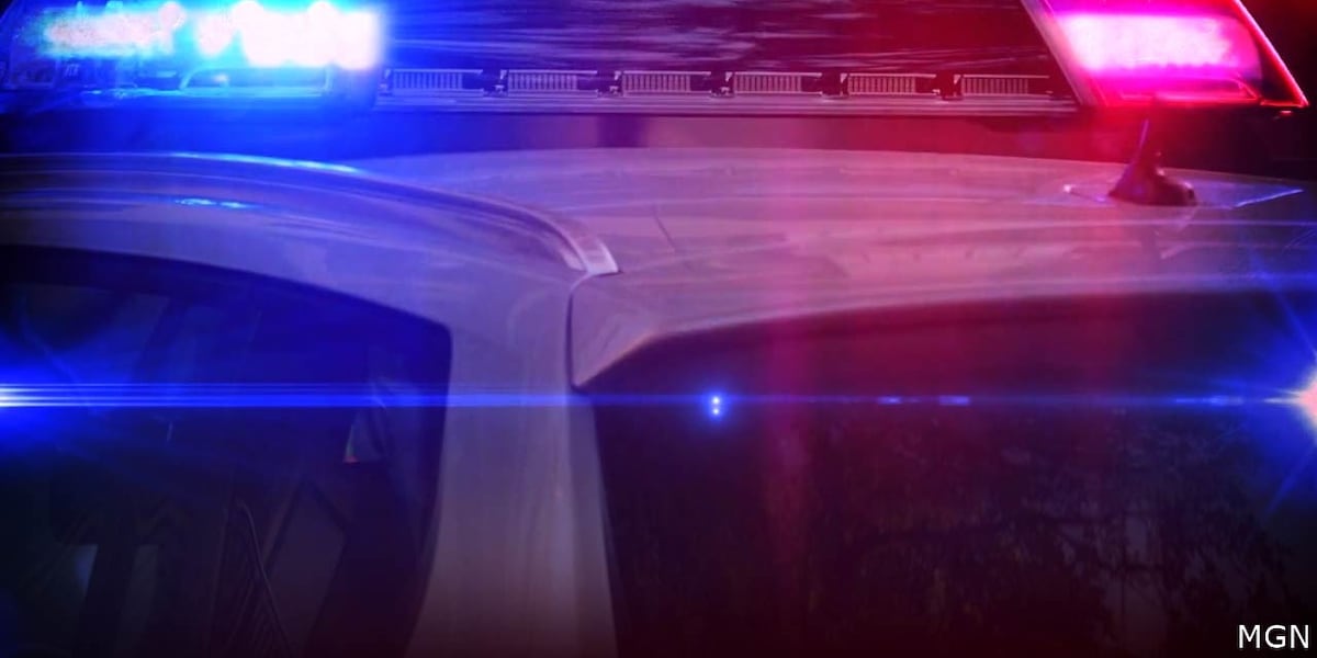 Other Moorman Park fight suspect turns self in