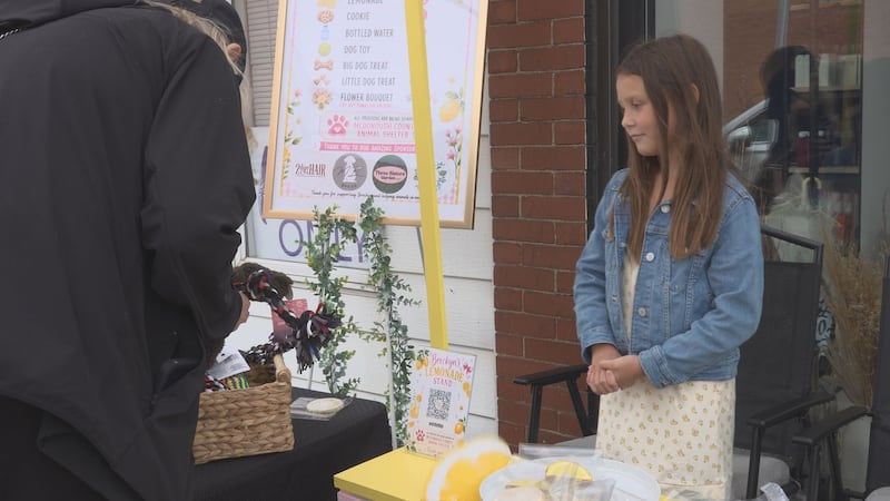 All proceeds from Breckyn's Lemonade Stand go to the animal shelter.