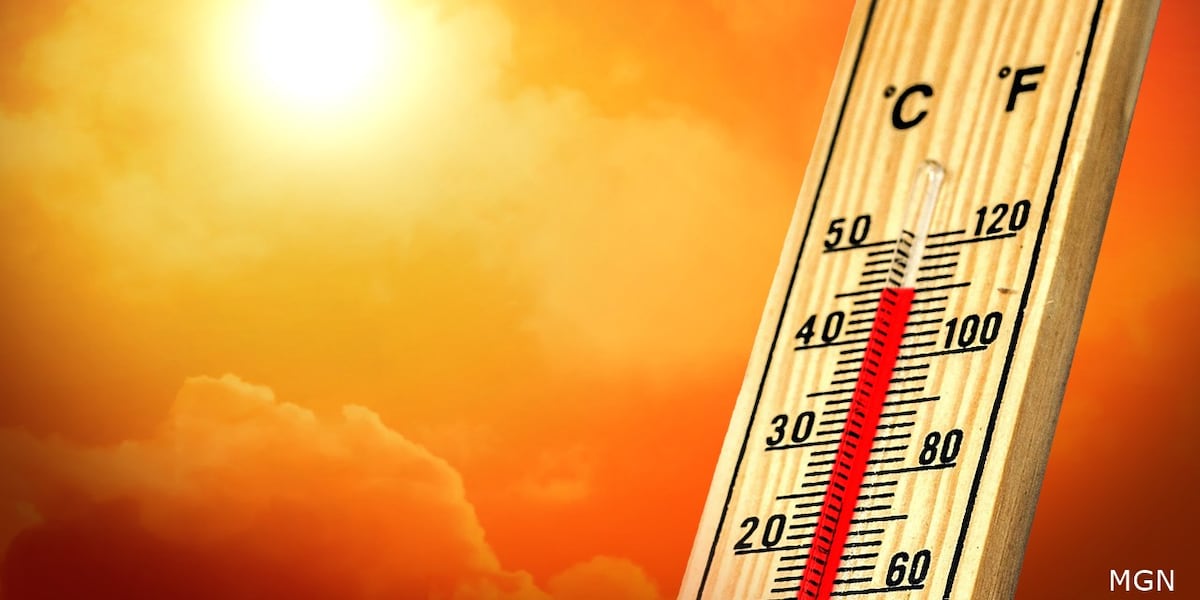 With increasing temperatures, veterinarians are urging residents to keep pets’ safety in mind