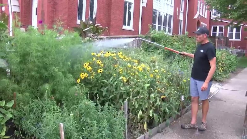 A collection of 12 all access gardens that the public can use to harvest flowers, fruits and...